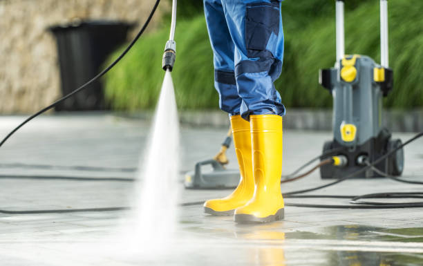 Best House Pressure Washing  in Oral City, FL