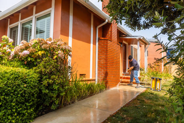 Best Roof Power Washing Services  in Oral City, FL
