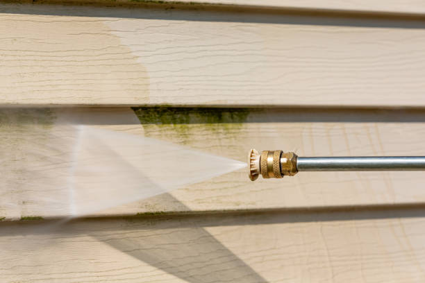 Best Power Washing Near Me  in Oral City, FL